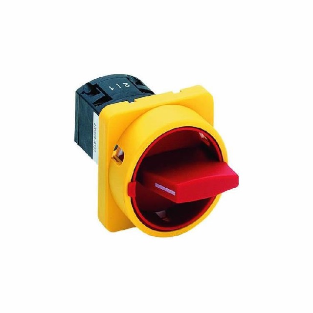 德國Salzer 轉換開(kāi)關(guān) 凸輪開(kāi)關(guān) P110-61199-033M4