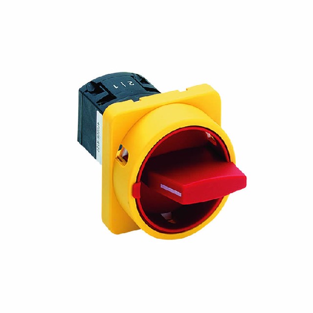 德國Salzer 旋轉凸輪開(kāi)關(guān) T225-61199-033M4