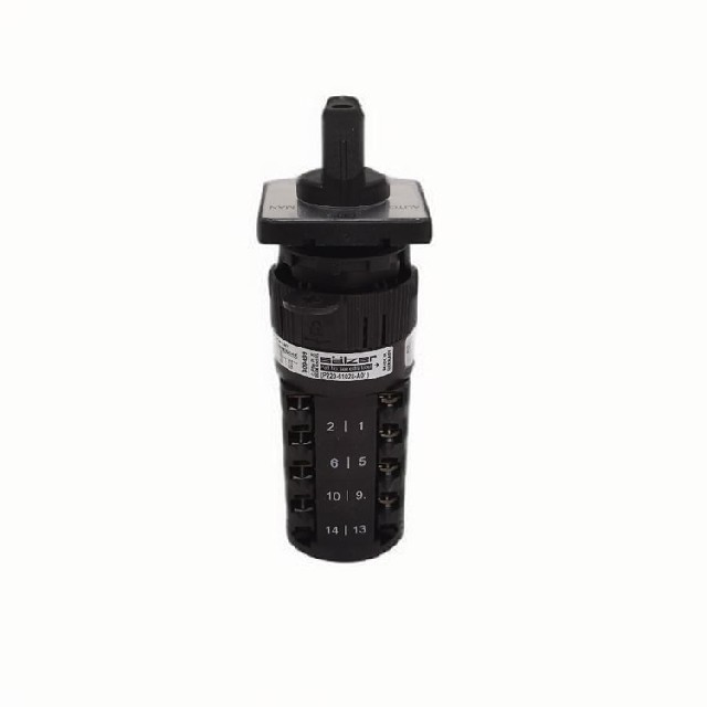 德國Salzer 旋轉凸輪開(kāi)關(guān) P220-61028-A01